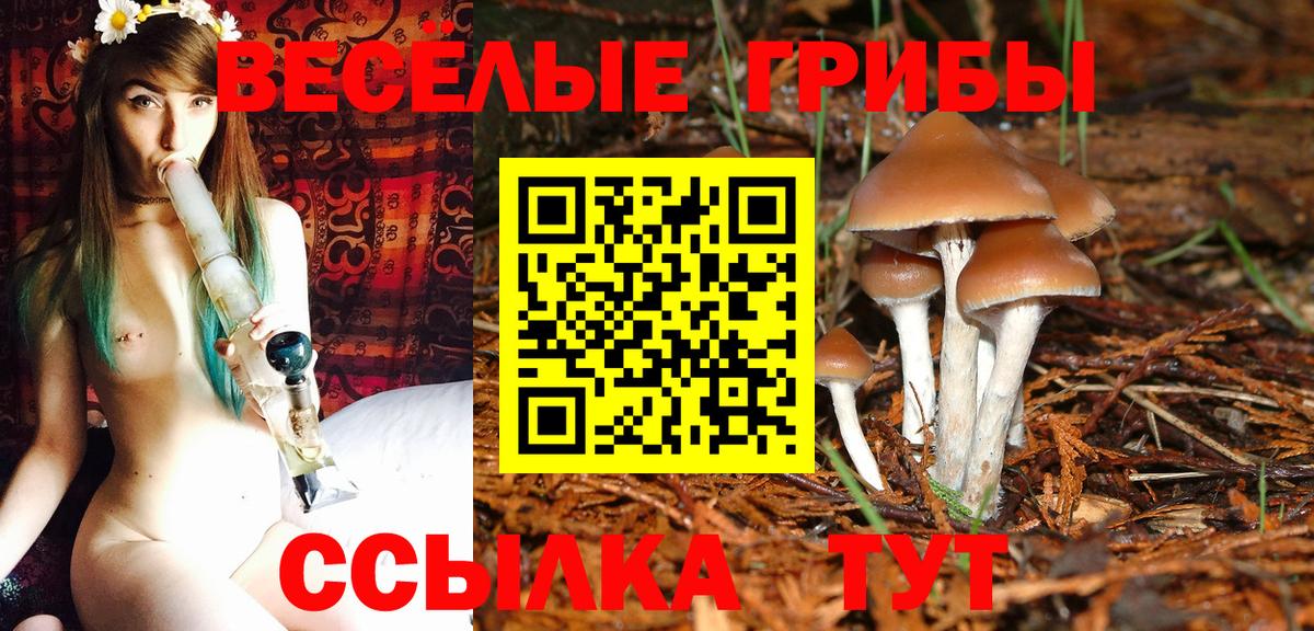 закладки  Вход с VPN  Гуково  Галлюциногенные грибы Magic Shrooms  Псилоцибиновые грибы GOLDEN TEACHER 