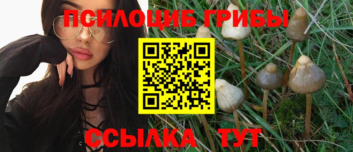 Галлюциногенные грибы мицелий Гуково